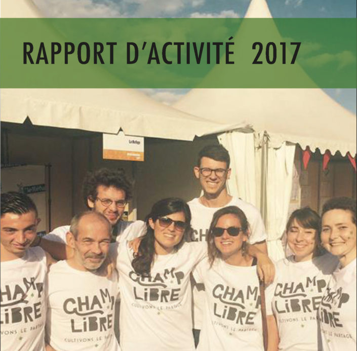 Rapport-dactivite-2017